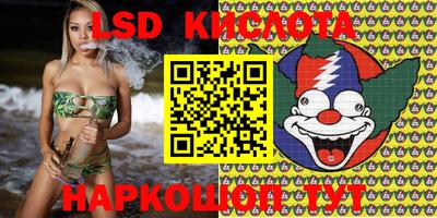 крисы Лесосибирск